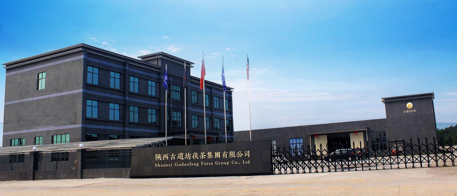 China Shaanxi Gudaofang Futea Group Co., Ltd. Perfil de la compañía