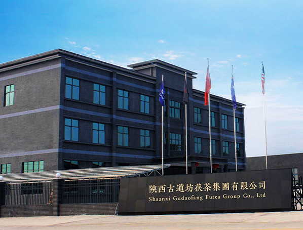 China Shaanxi Gudaofang Futea Group Co., Ltd. Perfil de la compañía