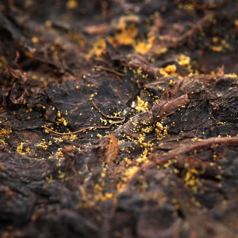 0.144 kg de té orgánico de ladrillo oscuro Arte tradicional para una elección saludable y nutritiva