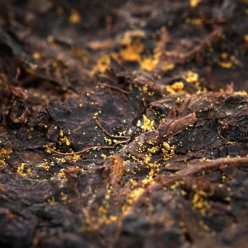 Fabricantes de té a medida Té negro chino caliente Tipo comprimido 5-10 años de edad Gran cantidad en el mejor de los casos